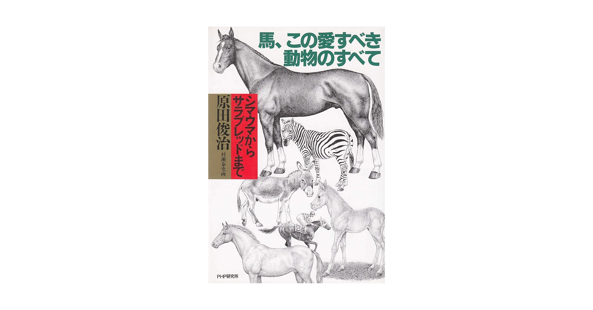 馬、この愛すべき動物のすべて: シマウマからサラブレッドまで